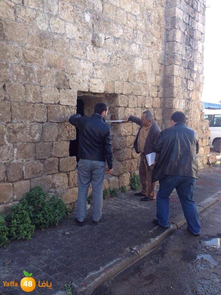 wafd turkeywqj (3).jpg